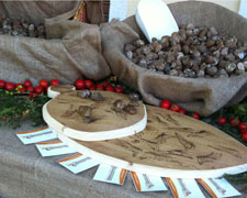 Immagine 2 di ALLEVAMENTO DI LUMACHE