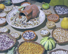 Immagine 1 di FAGIOLI DI SARCONI I.G.P