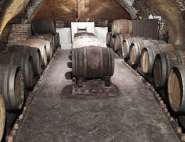 Immagine 4 di AGLIANICO DEL VULTURE ROSSO D.O.C. IL SIGILLO