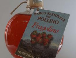 Immagine 1 di LIQUORE AL FRAGOLINO SELVATICO