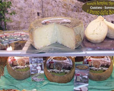 Immagine 1 di PECORINO DI FORENZA