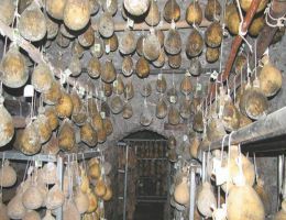 Immagine 1 di CACIOCAVALLO PODOLICO I.G.P.