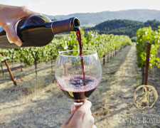 Immagine 2 di AGLIANICO DEL VULTURE D.O.P. LA SFIDA