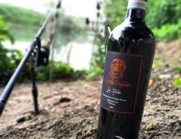 Immagine 4 di AGLIANICO DEL VULTURE D.O.P. LA SFIDA