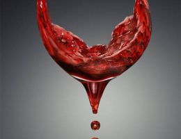 Immagine 2 di MONTEPULCIANO D'ABRUZZO D.O.P. RISERVA MO