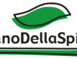 Immagine 2 di PECORINO DI FILIANO D.O.P.