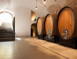 Immagine 4 di A.A. VALLE ISARCO KERNER D.O.C.