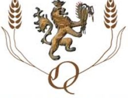 Immagine 4 di PASTA CORTA QUAGLIARA DI SEMOLA DI GRANO DURO TRAFILATA AL BRONZO