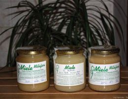 Immagine 1 di MIELE DI LAVANDA DEL POLLINO