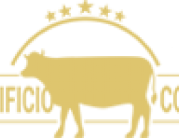 Immagine 2 di MOZZARELLA DI ANTICA TRADIZIONE CASIFICIO CORBO