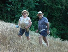 Immagine 1 di PARMIGIANO REGGIANO D.O.P. 40 MESI BIOLOGICO