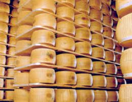 Immagine 3 di PARMIGIANO REGGIANO D.O.P. 40 MESI BIOLOGICO