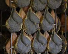 Immagine 1 di SGAMBATO DEL SAN BENEDETTO