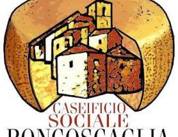 Immagine 3 di PRMIGIANO REGGIANO D.O.P. 24 MESI PRODOTTO DI MONTAGNA