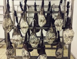 Immagine 5 di PROSCIUTTO CRUDO DI CINGHIALE ​​​​​​​SALUMIFICIO POLARIS TIMPA DEL CINGHIALE