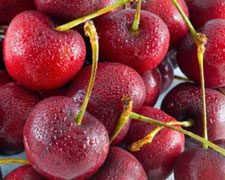 Immagine 1 di La Ciliegia di Vignola