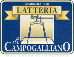 Immagine 2 di PARMIGIANO REGGIANO D.O.P.