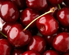 Immagine 1 di La Ciliegia di Vasco