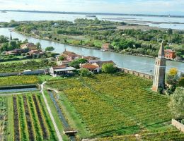 Immagine 3 di ROSSO VENISSA