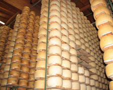 Immagine 4 di PARMIGIANO REGGIANO D.O.P. 40 MESI PRODOTTO DI MONTAGNA CASEIFICIO IL BATTISTERO