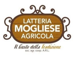 Immagine 3 di PARMIGIANO REGGIANO D.O.P. CASEIFICIO MOGLIESE