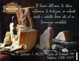 Immagine 5 di PARMIGIANO REGGIANO D.O.P. CASEIFICIO MOGLIESE