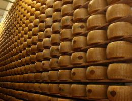 Immagine 2 di PARMIGIANO REGGIANO D.O.P. CASEIFICIO MOSCATTINI