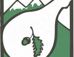 Immagine 2 di PROSCIUTTO CRUDO DI NORCIA I.G.P.