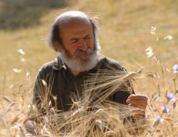 Immagine 1 di PASTA BIOLOGICA DA GRANI ANTICHI CAPPELLI