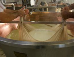 Immagine 3 di PARMIGIANO REGGIANO D.O.P. 40 MESI LATTERIA VO GRANDE