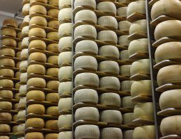 Immagine 2 di PARMIGIANO REGGIANO D.O.P. 48 MESI AGRI CARETTI