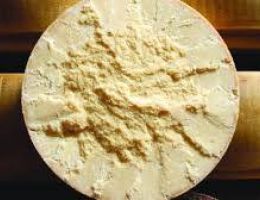 Immagine 5 di PARMIGIANO REGGIANO D.O.P. 48 MESI AGRI CARETTI