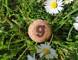 Immagine 1 di PINOT NERO METODO CLASSICO CORTO 9'