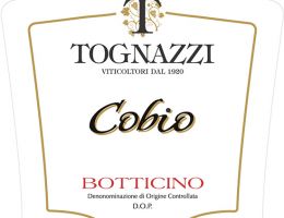 Immagine 1 di BOTTICINO D.O.C. COBIO TOGNAZZI