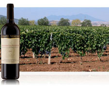 Immagine 1 di AGLIANICO DEL VULTURE D.O.C. GESUALDO