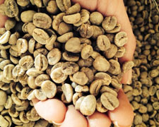 Immagine 1 di RISVEGLI