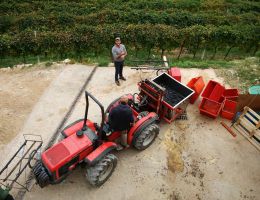 Immagine 3 di AMARONE DELLA VALPOLICELLA D.O.C.G. CLASSICO S.GIORGIO