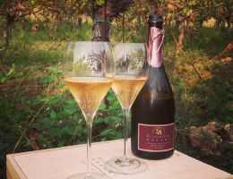 Immagine 4 di FRANCIACORTA ROSE' ELISABETTA ABRAMI