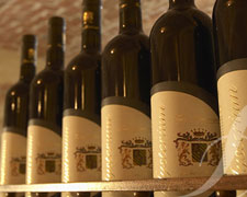 Immagine 1 di MALVASIA DI CASORZO PASSITO D.O.C. TENUTA MONTEMAGNO