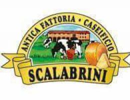 Immagine 2 di PARMIGIANO REGGIANO D.O.P. 24 MESI