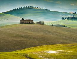 Immagine 4 di Parmigiano Reggiano D.O.P. 30 mesi