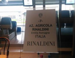 Immagine 5 di REGGIANO LAMBRUSCO ROSSO FRIZZANTE D.O.C.