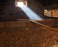 Immagine 1 di Prodotti a base di farina di castagne