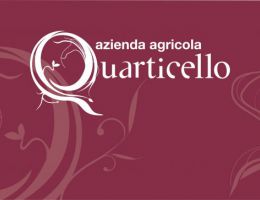 Immagine 1 di ROSSO EMILIA I.G.T. BORDONE