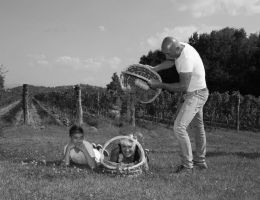 Immagine 1 di RIBOLLA GIALLA D.O.C. COLLIO