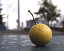 Immagine 1 di FRUTTI ANTICHI AUTOCTONI