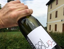 Immagine 2 di ASOLO PROSECCO D.O.C.G. COLFONDO