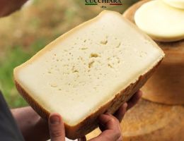 Immagine 3 di PECORINO SICILIANO D.O.P.