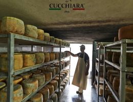 Immagine 4 di PECORINO SICILIANO D.O.P.