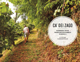 Immagine 4 di VALDOBBIADENE D.O.C.G. PROSECCO COL FONDO